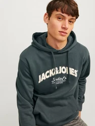 Jack & Jones Kapuzensweatshirt JORBRONX Arch Big Sweat Hood Dunkelgrün/Grün