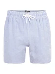 jbs Badeshorts hellblau/weiß