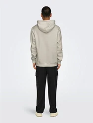 ONLY & SONS Kapuzensweatshirt ONSCURATED REG HOODIE SWEAT Grau/Beige/Hellgrau/Khaki/Braun