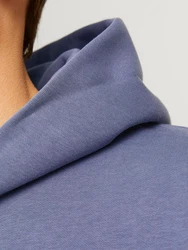 Jack & Jones Kapuzensweatshirt JJEURBAN EDGE SWEAT HOOD NOOS 