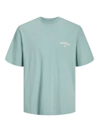 Oversize-Shirt JORSANTORINI BACK TEE SS CREW NECK SN