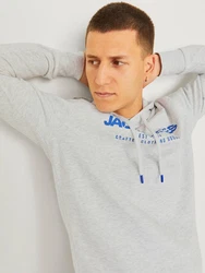 Jack & Jones Kapuzensweatshirt JJALVIS SWEAT HOOD Hellblau/Grau/Blau/Khaki/Hellgrau