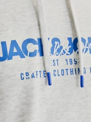 Jack & Jones Kapuzensweatshirt JJALVIS SWEAT HOOD Hellblau/Grau/Blau/Khaki/Hellgrau