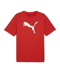 PUMA T-Shirt teamRISE Logo Trainingsshirt Rot