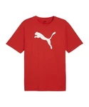 PUMA T-Shirt teamRISE Logo Trainingsshirt Rot