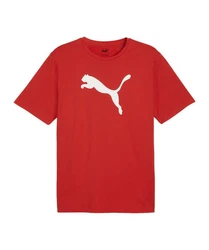 PUMA T-Shirt teamRISE Logo Trainingsshirt Rot