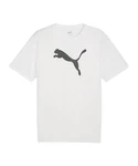 PUMA T-Shirt teamRISE Logo Trainingsshirt Weiß