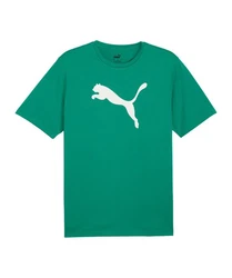 PUMA T-Shirt teamRISE Logo Trainingsshirt 