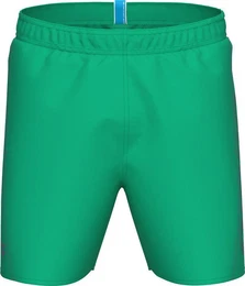 Badeshorts FUNDAMENTALS LOGO BOXER R GREEN QUARTZ-PURPLE BLUE