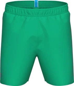 Arena Badeshorts Fundamentals Logo R grün/violett/blau