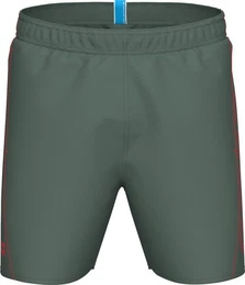 Badehose FUNDAMENTALS LOGO BOXER R SAGE-FLUO RED