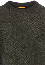 camel active Pullover 