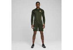 PUMA T-Shirt Manchester City Trainingsoberteil Dunkelgrün/Grün