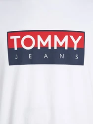 Tommy Jeans T-Shirt TJM REG RWB TOMMY ENTRY TEE Weiß/Hellblau/Grün/Grau