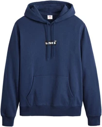 Levi's Hoodie LV Hoodie STANDARD GRAPH mit Kapuze