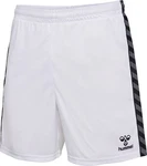 Hummel Sportshorts 'Authentic' 