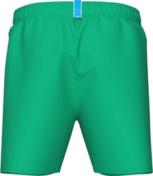 Arena Badeshorts Fundamentals Logo R GRÜNER QUARZ/LILA BLAU