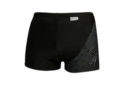 Speedo Badehose Medley Logo Aquashort Schwarz/USA Kohlengrau