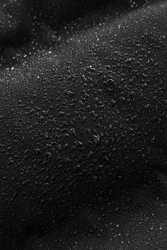 Next Wasserabweisender Puffermantel mit Kapuze Schwarz