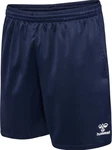 Hummel Shorts ESSENTIAL TRAINING Dunkelblau/Blau