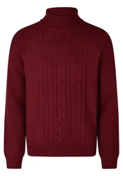 HECHTER PARIS Rollkragenpullover Dunkelrot/Bordeaux/Rot