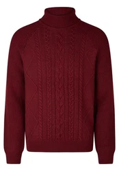 HECHTER PARIS Rollkragenpullover Dunkelrot/Bordeaux/Rot