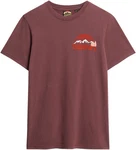 Superdry Rundhalsshirt GREAT OUTDOOR CHEST GRAPHC TEE braun
