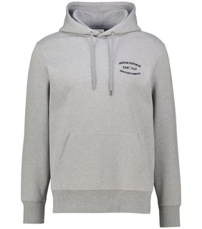 Gant Sweatshirt Hoodie Regular Fit Grau/Hellgrau