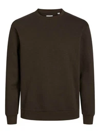 Sweatshirt JJEBradley (1-tlg)