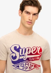 Superdry Rundhalsshirt FLOCKED FADE GRAPHIC T SHIRT beige