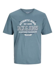 Jack & Jones T-Shirt JJELOGO TEE SS O-NECK  Blau/Hellblau