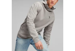 PUMA Kapuzensweatshirt RAD/CAL Hoodie Grau/Braun/Khaki/Beige