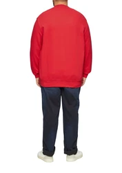 s.Oliver Sweatshirt mit Stickerei 
