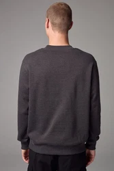Next Sweatshirt Premium Jersey-Pullover Rundhalspullover 