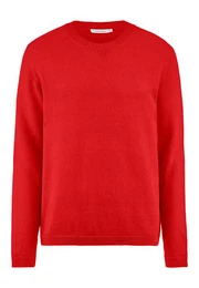 Strickpullover aus reiner Bio-Baumwolle mit Bio-Merinowolle (1-tlg)