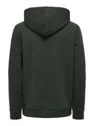 ONLY & SONS Hoodie BASIC HOODIE 3608 SWT 3608