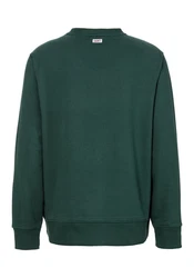 Gant Sweatshirt GRAPHIC C-NECK SWEAT mehrfarbig