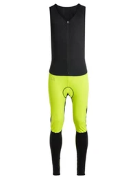 Funktionshose Men's Posta Warm Bib Tights (1-tlg) Green Shape