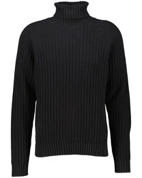 Strickpullover Herren Rollkragenpullover SIGUR (1-tlg)