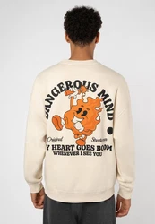 SUBLEVEL Sweatshirt Sweater mit Backprint Beige/Khaki/Creme/Orange