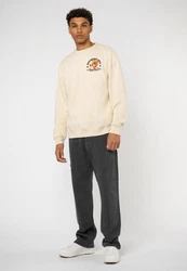 SUBLEVEL Sweatshirt Sweater mit Backprint Beige/Khaki/Creme/Orange