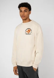 Sweatshirt Sweater mit Backprint Cartoon