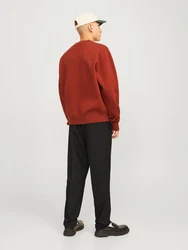 JACK & JONES Hose JPSTAce Leo Schwarz/Khaki/Braun/Beige