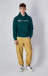 Champion Authentic Athletic Apparel Sweatshirt Hooded Hoodie Laubgrün