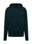 Iriedaily Sweatshirt Tanne