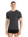 Icebreaker Mens Anatomica SS Crewe 