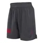 Nike Mesh Shorts image