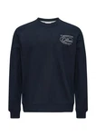 s.Oliver Sweatshirt Regular Fit Dunkelblau/Hellblau