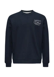s.Oliver Sweatshirt Regular Fit Dunkelblau/Hellblau