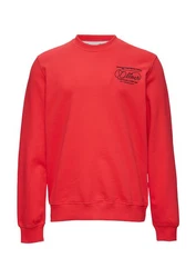 s.Oliver Sweatshirt Regular Fit Rot